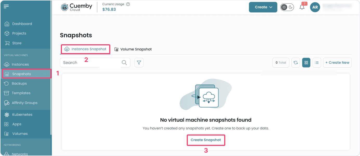 create-instance-snapshot
